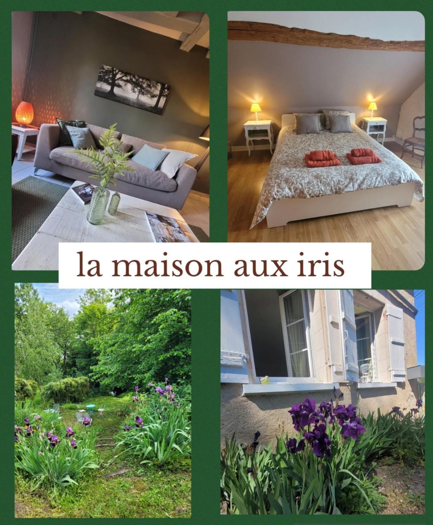 La Maison Aux Iris Pocé-sur-Cisse Exterior foto