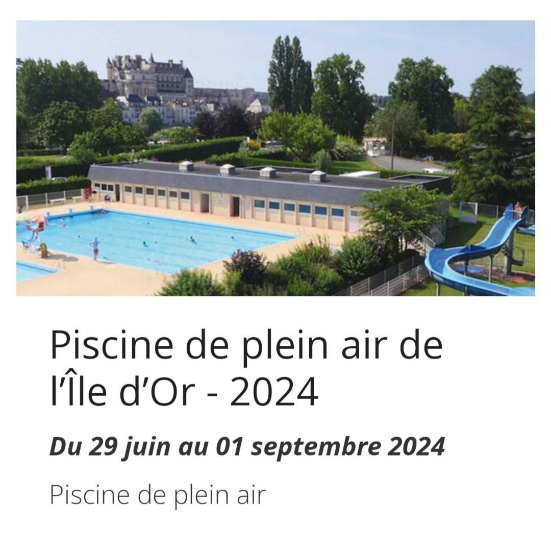 La Maison Aux Iris Pocé-sur-Cisse Exterior foto